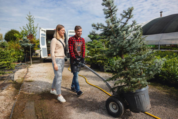 How Our Tree Care Process Works  in  Harpersville, AL